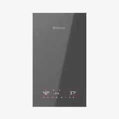 Газовый котел Thermex Antares F24