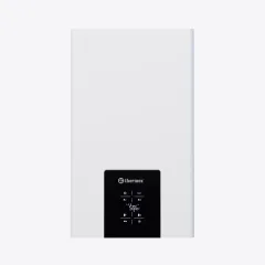 Газовый котел Thermex Blaze F24