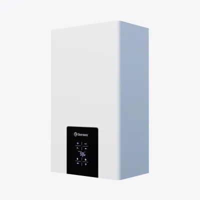 Газовый котел Thermex Blaze FH35 Газовый котел Thermex Blaze FH35