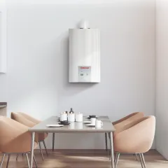 Газовый котел Thermex EuroElite F24