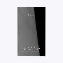 Газовый конденсационный котел Thermex PALLADA PS24